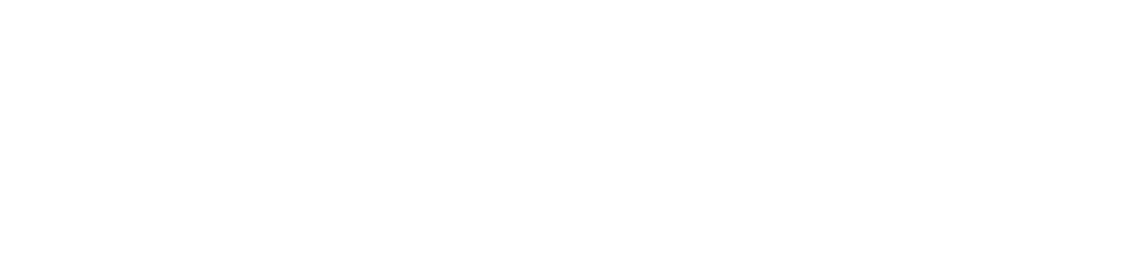 THE SOUNDZ BAND